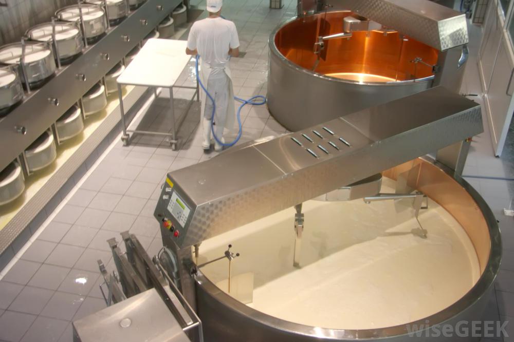 Man is a cheese maker in the process of producing different varieties of  cheese in the industry. Milk cheese making Photos